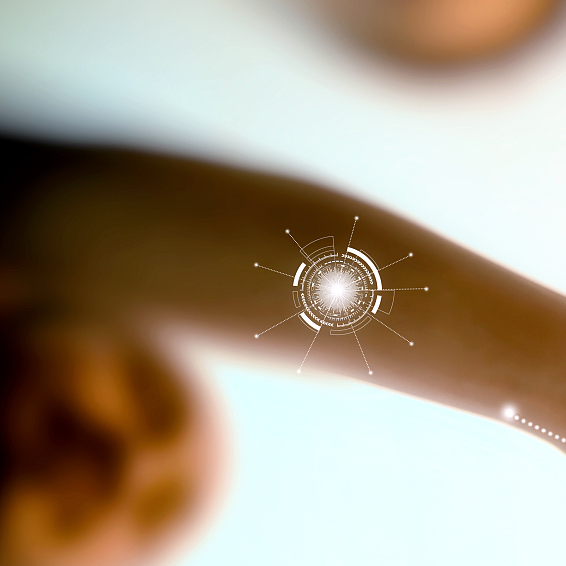 白山市特色产业协会 简介