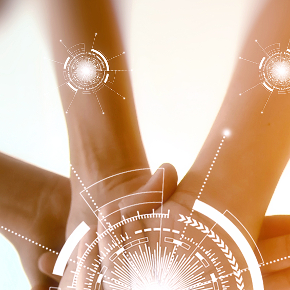 吉林省功能食品协会 简介